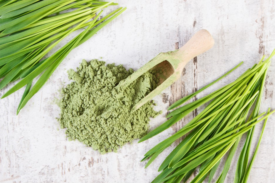 Barley powder 2
